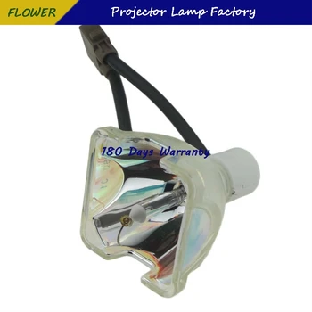 Orijinal Projektör lambası TLPLW11 / TLP-LW11 ( SHP99 ) TLP-XC2500AU TLP-XD2700 TLP-X3000A TLP-XC3000A TLP-XD3000A TDP-T100 Projektör lambası 1