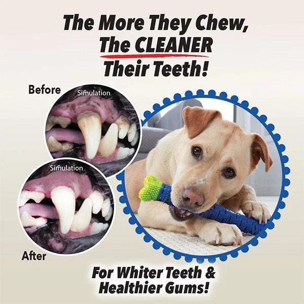 Diş fırçası Köpek Diş Fırçası ve Köpek Oyuncak Sopa eğitim Köpek Çiğnemek Oyuncak Köpekler Diş Fırçası Köpek Yavrusu Diş Bakımı Köpek Pet Yavru Görüntü 3