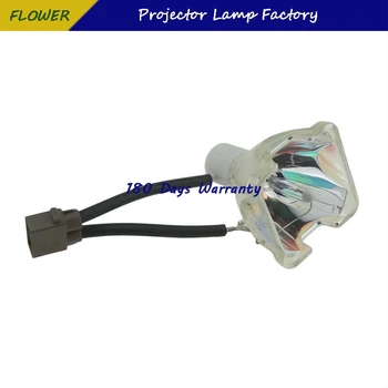 Orijinal Projektör lambası TLPLW11 / TLP-LW11 ( SHP99 ) TLP-XC2500AU TLP-XD2700 TLP-X3000A TLP-XC3000A TLP-XD3000A TDP-T100 Projektör lambası 2