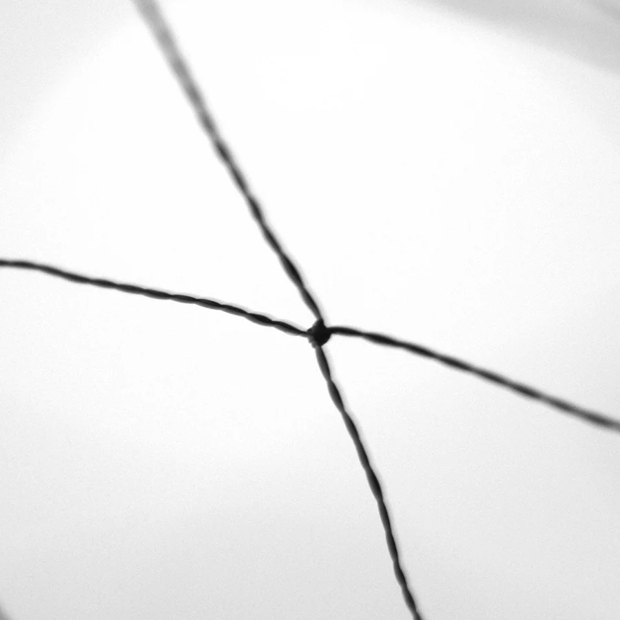 Polyester 75D / 2 3 M x 2.5 M Orchard Bahçe Düğümlü 15mm Delik Anti kuş sis filesi Görüntü 2