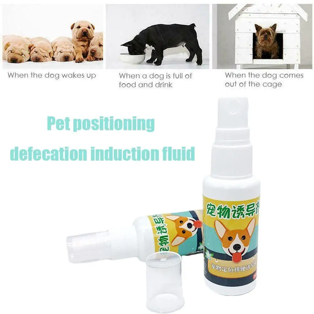 30 ml Pet Köpek Sprey İndükleyici Köpek Tuvalet Eğitimi Köpek Lazımlık Sprey Dışkılama Eğitim Konumlandırma Pet Görüntü 5